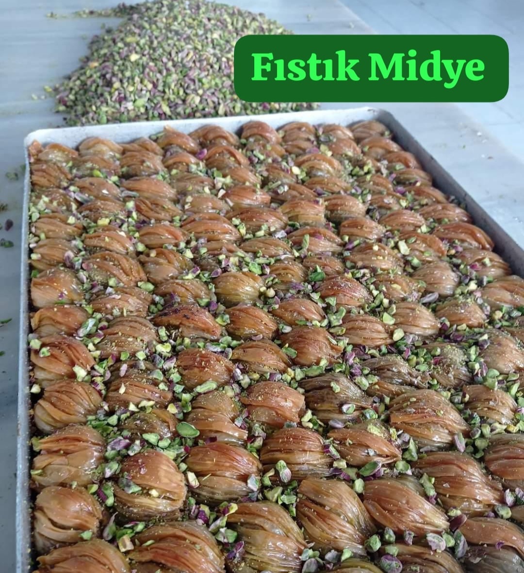 FISTIK MİDYE