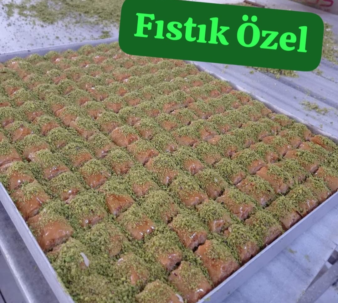 FISTIK ÖZEL