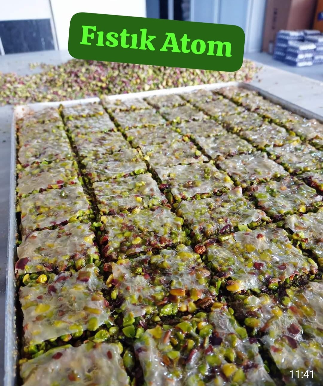 FISTIK ATOM