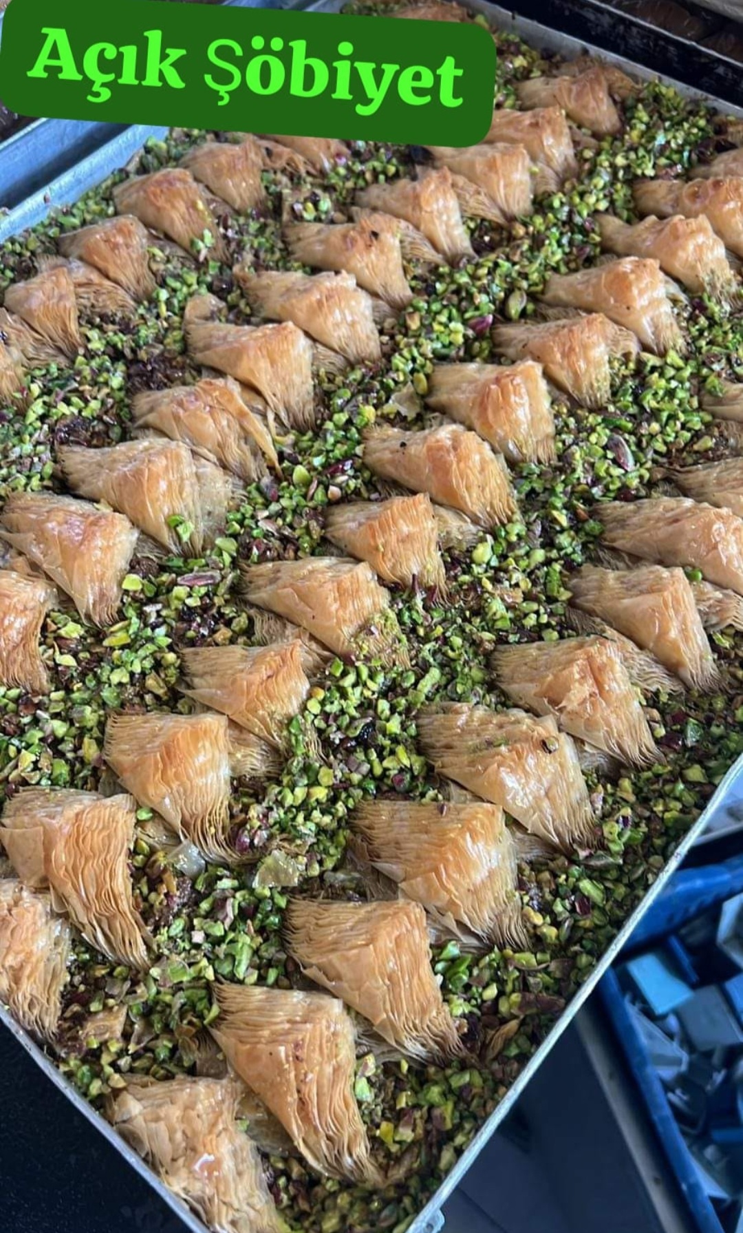 AÇIK ŞÖBİYET