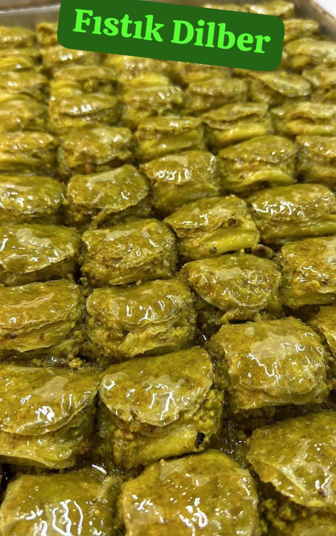 FISTIK DİLBER