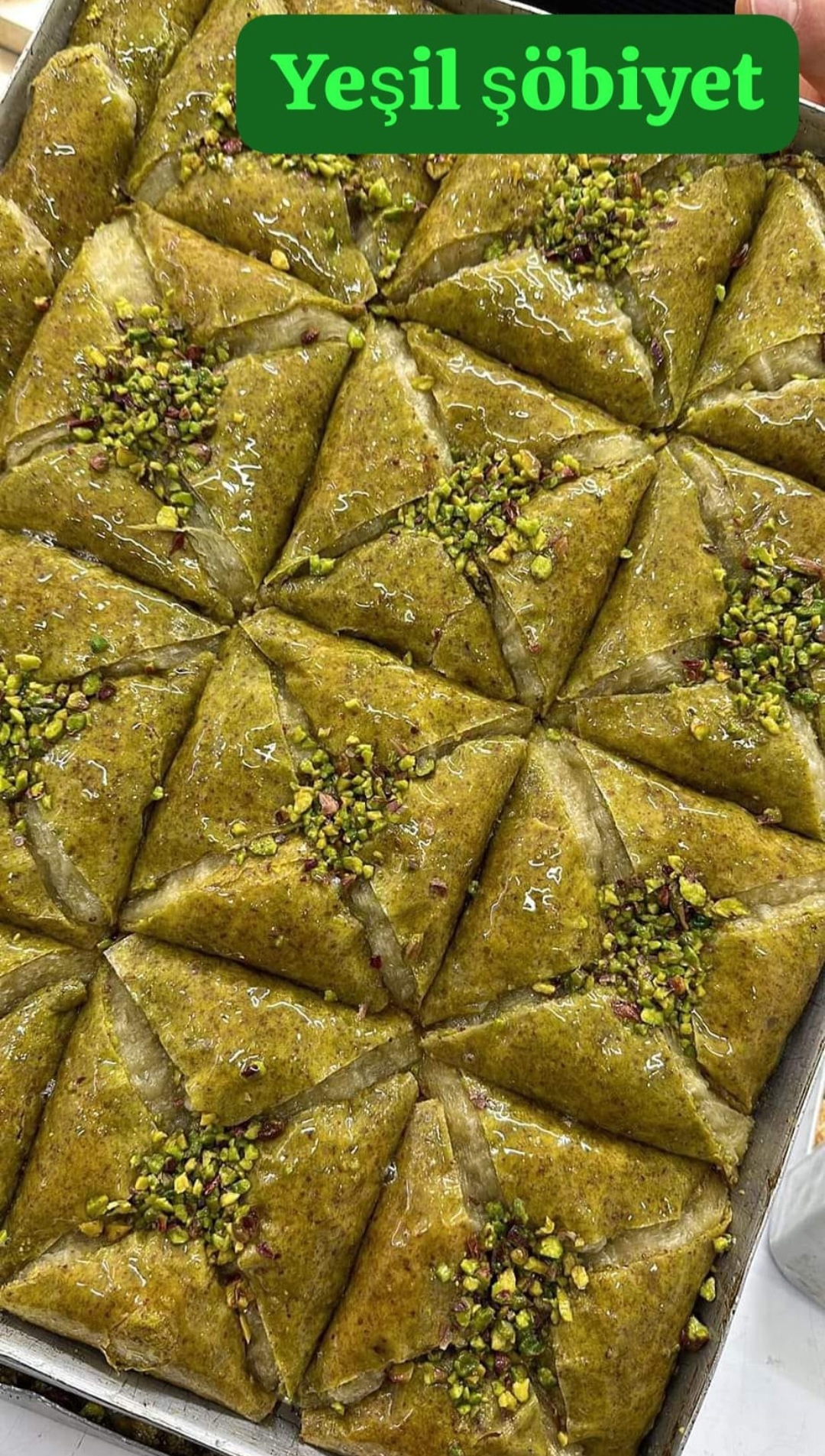 YEŞİL ŞÖBİYET
